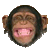 :monkeylaugh: