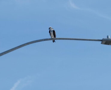 IMG_5072.jpeg