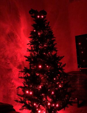IMG_3939.jpeg