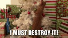 IMG_5431.gif