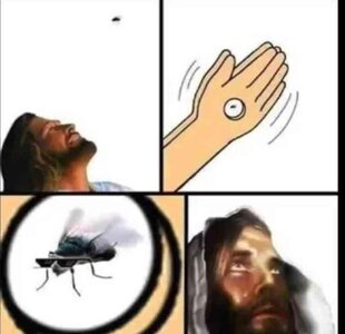20250115_133447.jpeg