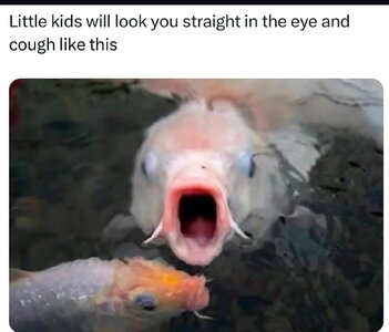 2823097873310705992.jpeg