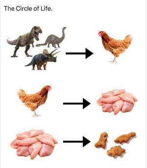 1741200901894.png