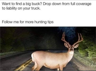 1742231408547.png