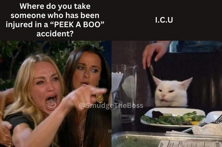 1743128709571.png