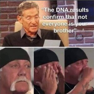 1743328009479.jpeg