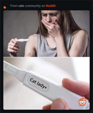 1743637976451.png