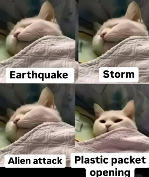 1744485800972.png