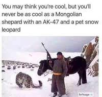 1744590660110.png