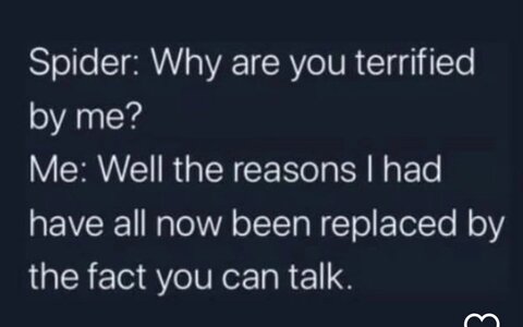 1745712264477.jpeg