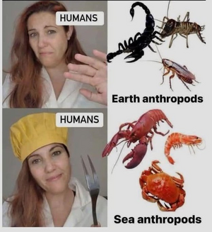 1746427868990.png