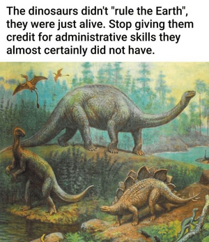 1746770816753.png