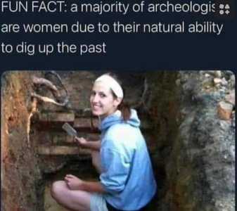 1747508479947.png