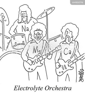 IMG_0222.png