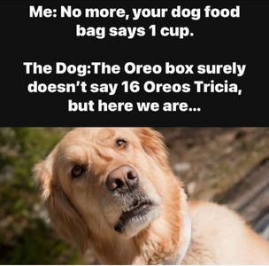 1754008013082.png