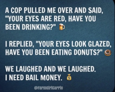 IMG_0253.png