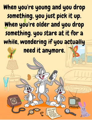 IMG_0266.png