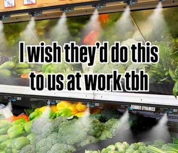 1755460032967.png