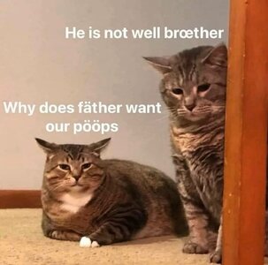 IMG_3207.jpeg