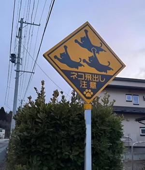 1757290148209.png