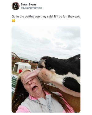 1757833330674.png