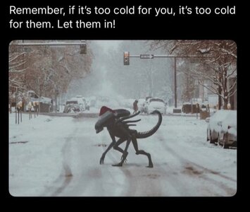 Image 12-9-25 at 9.49 AM.jpeg