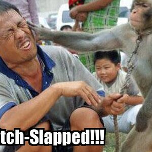 Mitch-slapped