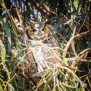 Bolsa24-4857-Enhanced-NR-2.jpg