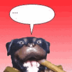 IMG_5144.gif