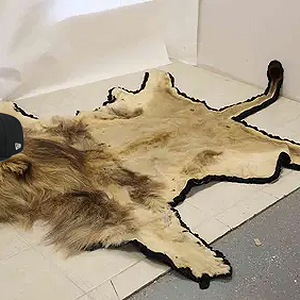 1759901564460.png