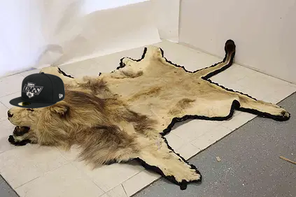 1759901564460.png