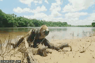 201B5C86-5B37-45F4-91E6-984216C8C5E9.gif