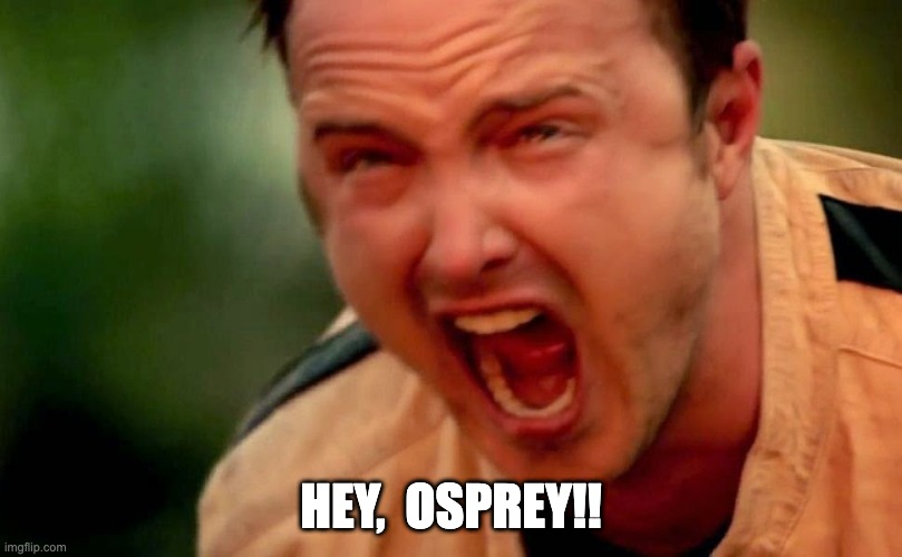 89jdpd.jpg