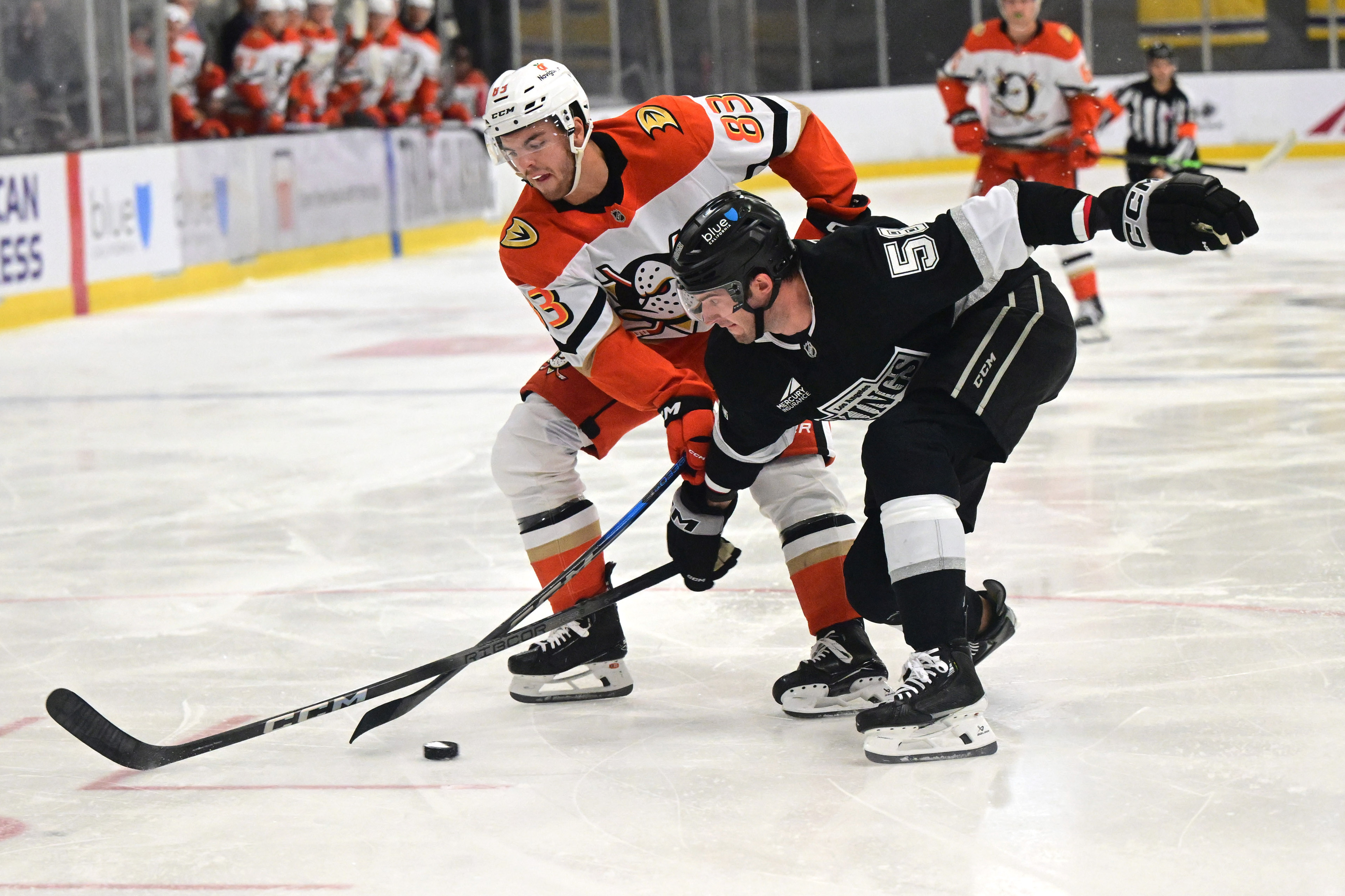 The Ducks’ Jaxsen Wiebe, left, battles for the puck with...