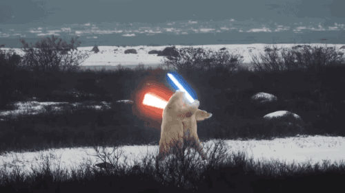 tumblr_o5hdu4tRL71t2ostso1_500.gif