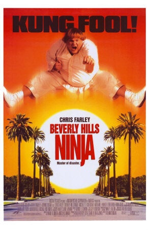 beverly-hills-ninja.jpeg