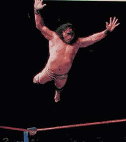 snuka+dive.jpg