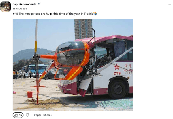 1741568045616-gif.660276