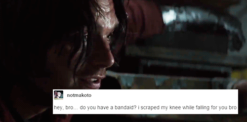 tumblr_o328ob9ad71rtf3g6o3_r1_500.gif