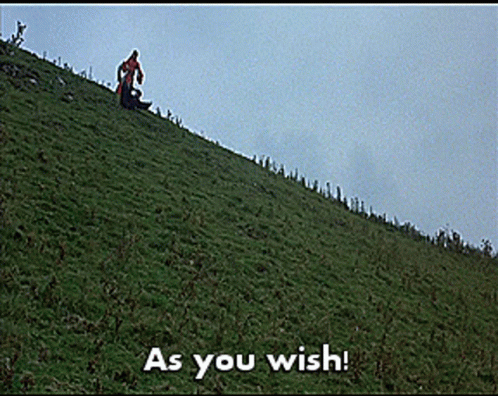 as-you-wish-princess-bride.gif