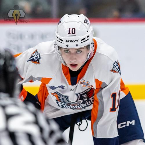 www.eliteprospects.com