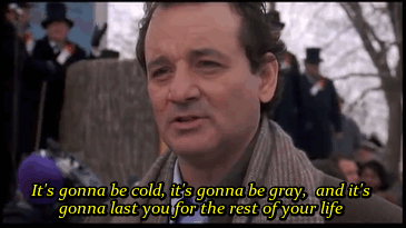 dd_groundhogday.gif