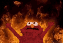 elmo-hell.gif