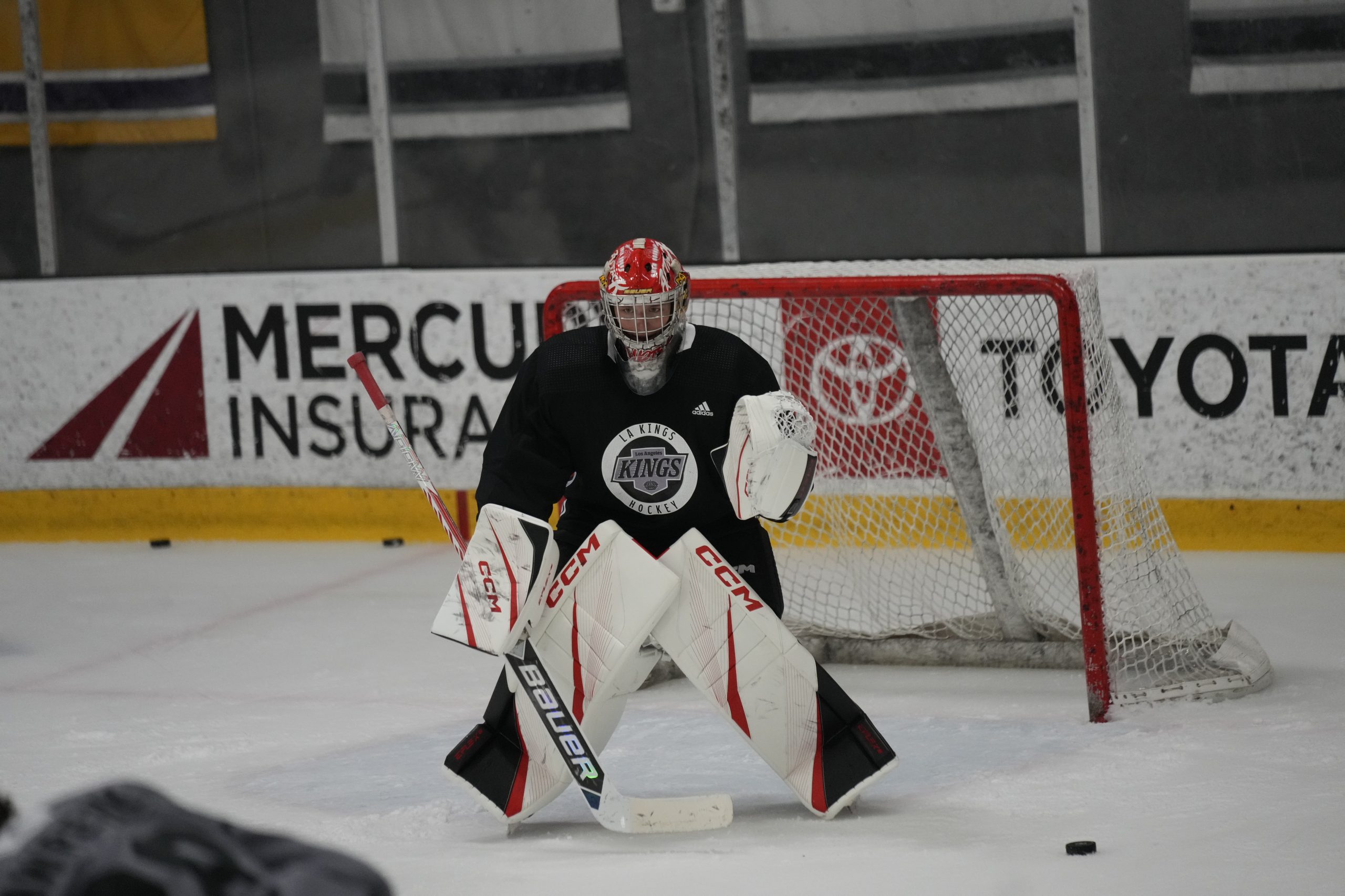 LAKings2760-scaled.jpg