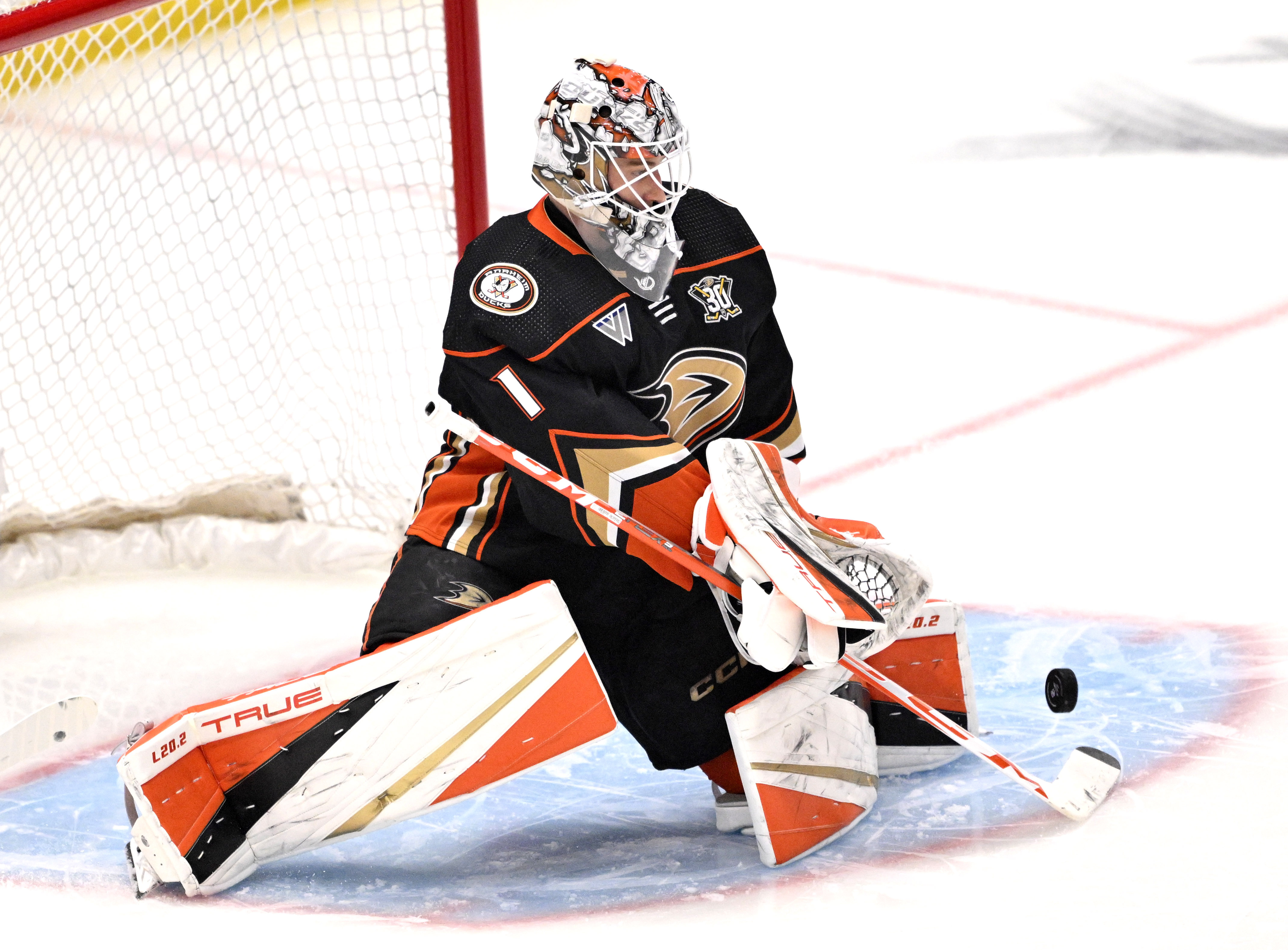 Goalie Lukas Dostal #1 of the Anaheim Ducks blocks a...