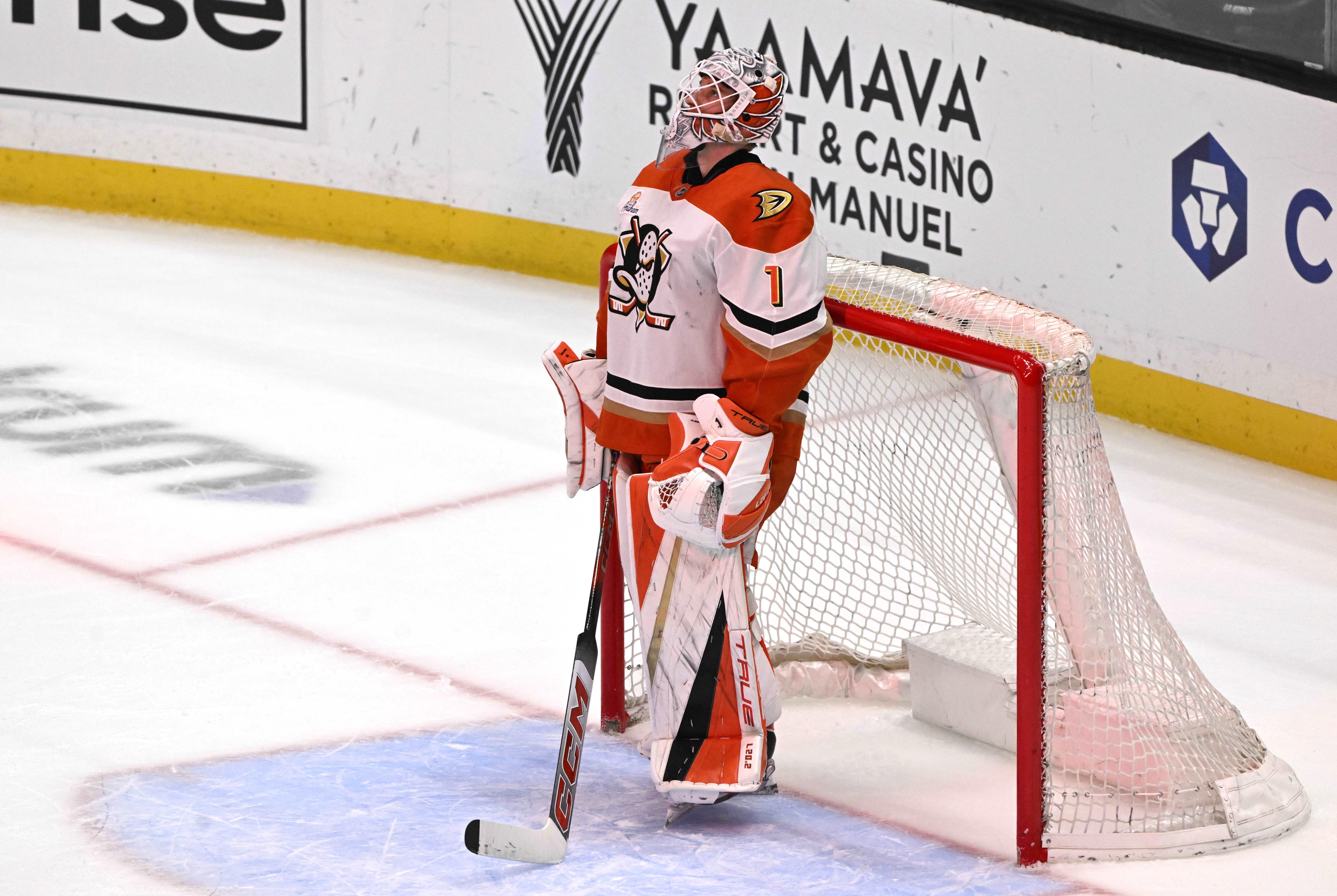 Ducks goaltender Lukas Dostal looks toward the video board after...