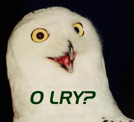 o-lry-owl.jpg