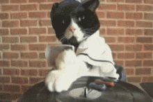 dj-dee-jay.gif