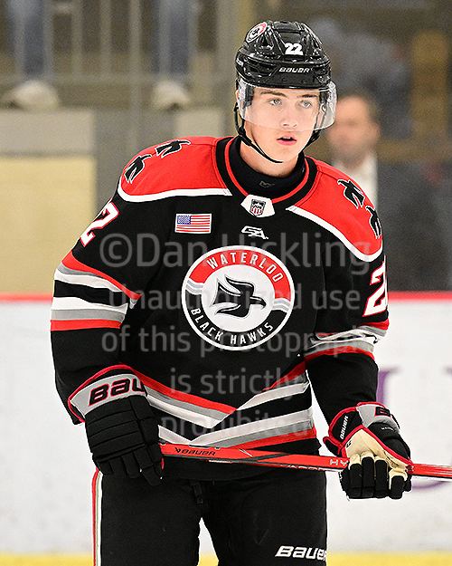www.eliteprospects.com
