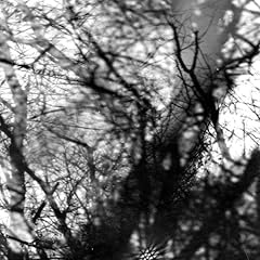 615372RDD3L._SL500_AA240_.jpg